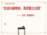 8大卫·科波菲尔（节选）-统编版高二语文上学期同步教学课件精讲