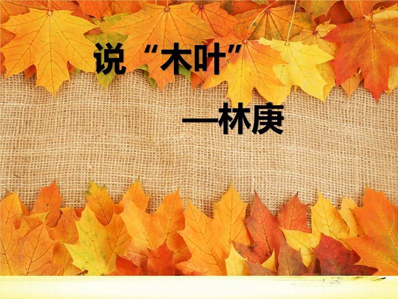 9《说“木叶”》课件 -----2024-2024学年统编版高一高中语文必修下册第2页