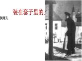 13.2《装在套子里的人》课件 -----2024-202学年统编版高一高中语文必修下册