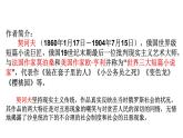 13.2《装在套子里的人》课件 -----2024-202学年统编版高一高中语文必修下册