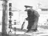 13.2《装在套子里的人》课件 -----2024-202学年统编版高一高中语文必修下册