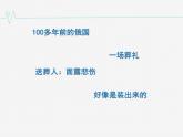 13.2《装在套子里的人》课件----2024-202学年统编版高一高中语文必修下册