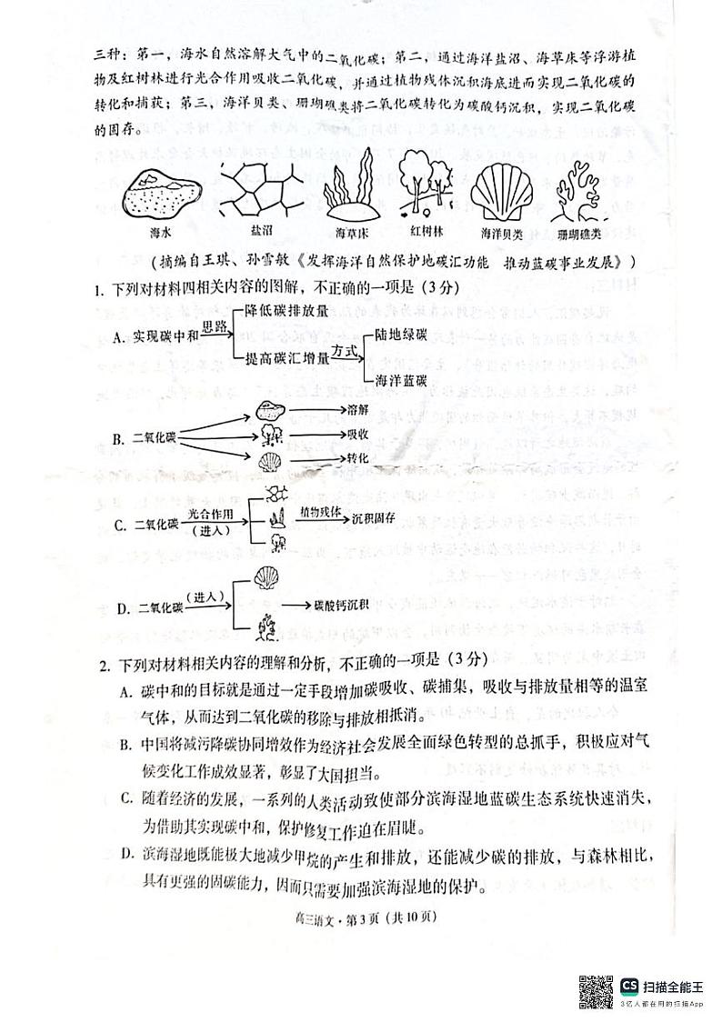 云南省保山市2024—2025学年高三上学期期中质量监测语文试卷第3页