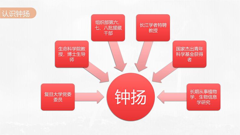 人教统编版必修上册4.3“探界者”钟扬ppt课件第5页