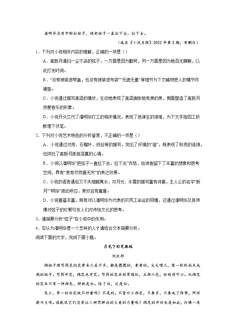 2025届高考语文复习：小说阅读训练（含答案） (9)第3页