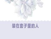 人教统编版必修下册13.2装在套子里的人ppt课件