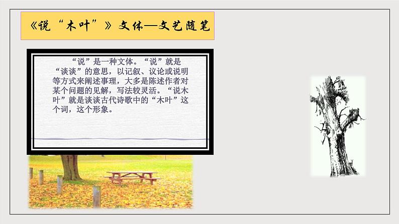 人教统编版高中语文必修下册9《说“木叶”》（教学课件）第7页