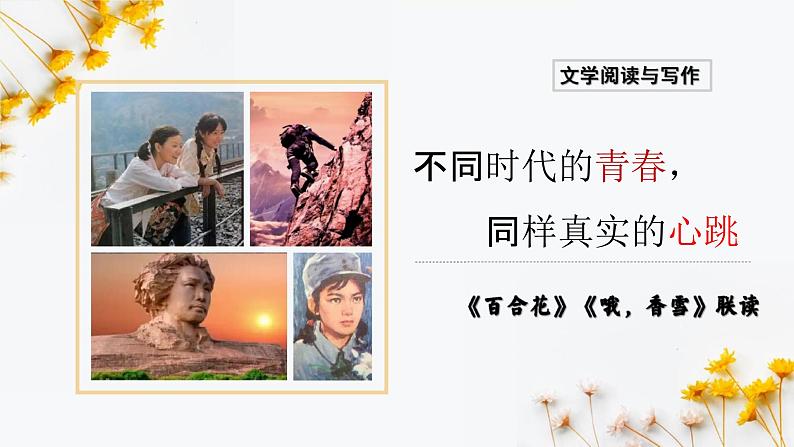 3.1《百合花》《哦，香雪》联读课件 2024-2025学年统编版高中语文必修上册第1页