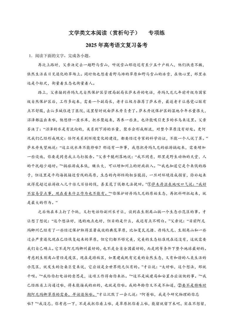 2025年高考语文一轮复习备考专项练习 文学类文本阅读 赏析句子第1页
