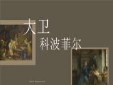 人教统编版选择性必修上册8大卫·科波菲尔（节选）ppt课件