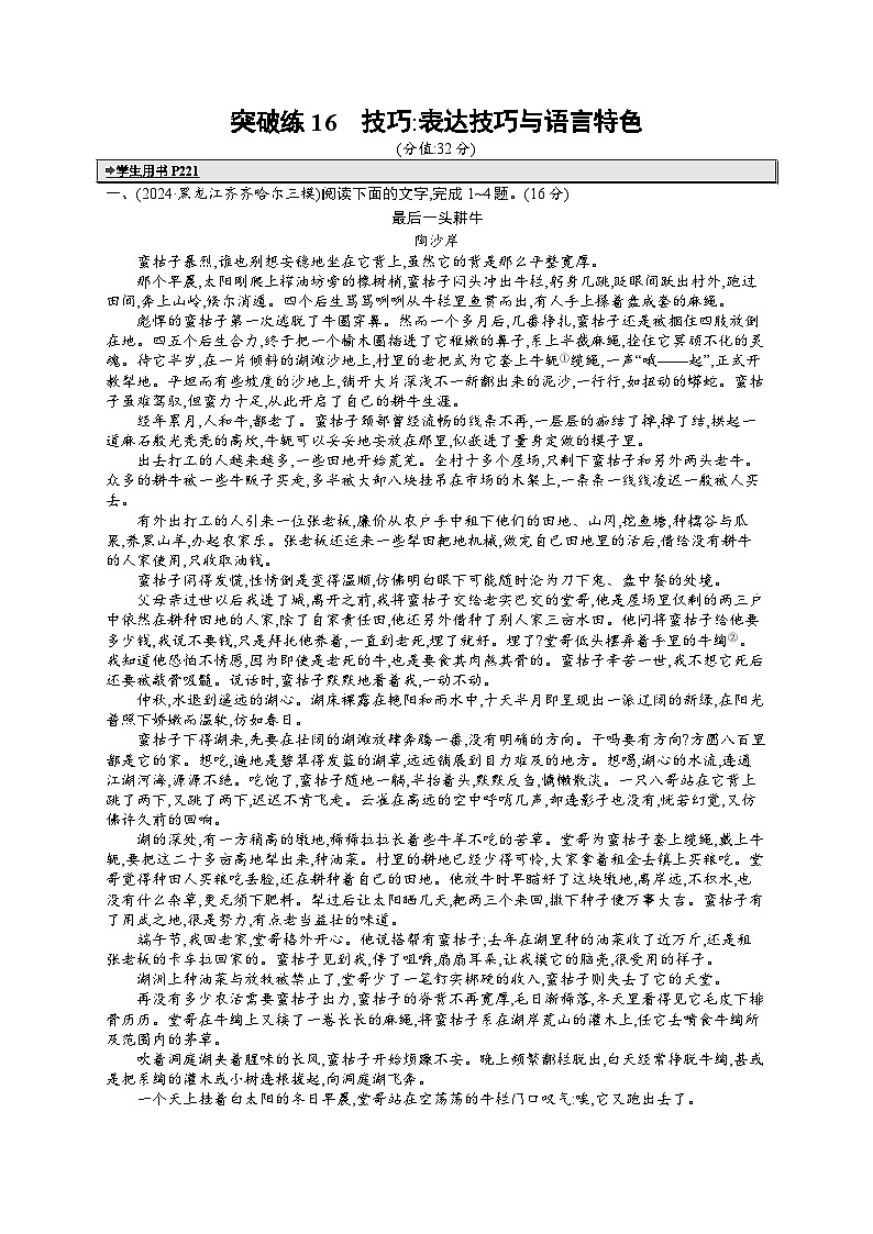 备战2025年高考二轮复习语文 专题突破化练16　技巧：表达技巧与语言特色（Word版附答案）第1页