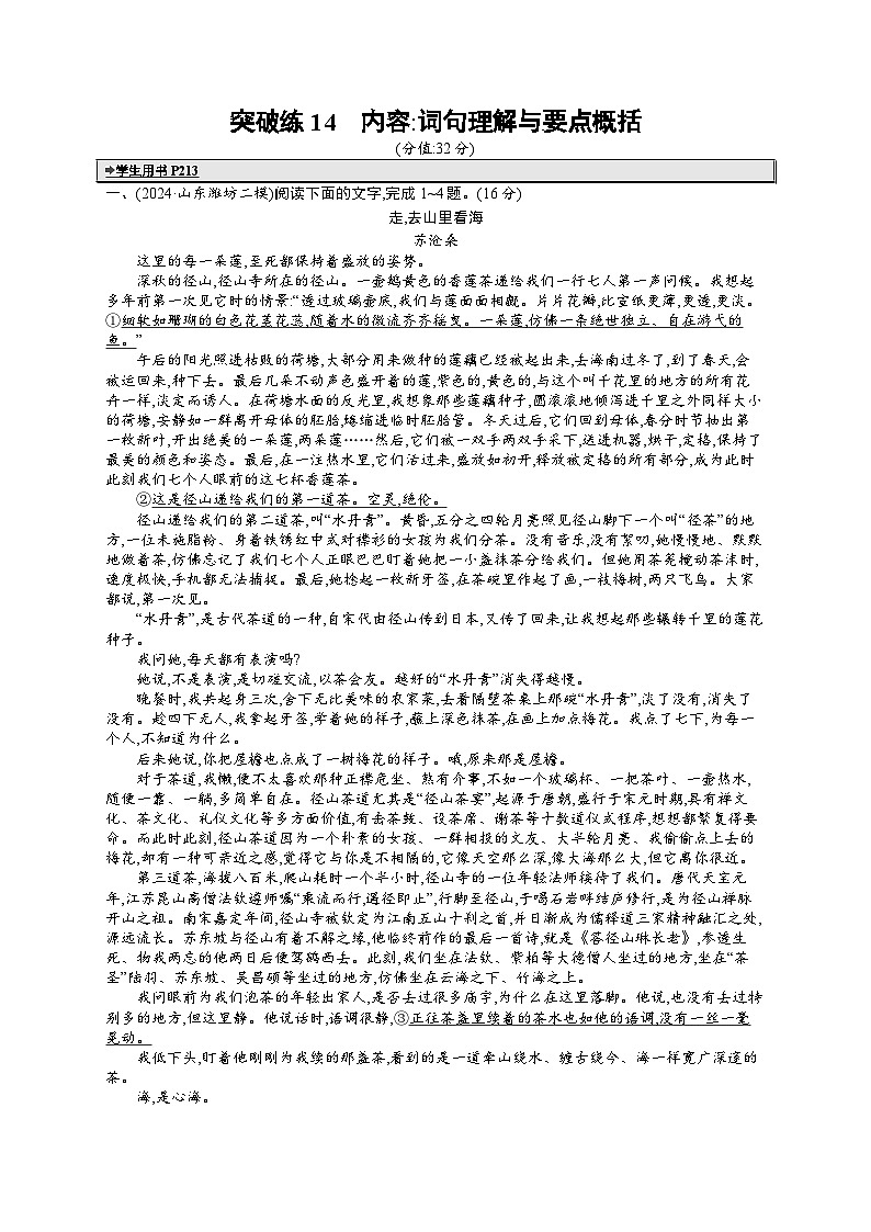 备战2025年高考二轮复习语文 专题突破化练14　内容：词句理解与要点概括（Word版附答案）第1页