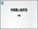 人教统编版选择性必修中册4.2怜悯是人的天性课件ppt