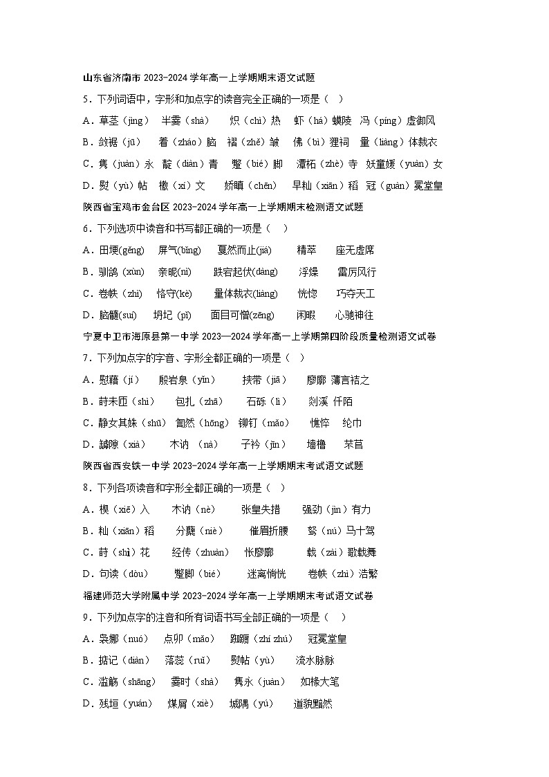 2024-2025学年高一语文上学期期末复习考点专练-语言文字运用之字音字形（通用版）第2页