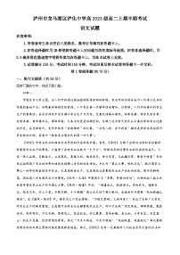 四川省泸州市泸化中学2024-2025学年高二上学期11月期中考试语文试题（Word版附解析）