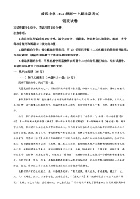 四川省内江市威远中学校2024-2025学年高一上学期期中考试语文试题（解析版）-A4