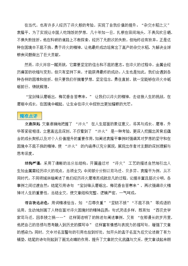 议论文01 真题 审题 范文 点评 素材-备战2025年高考语文写作第3页