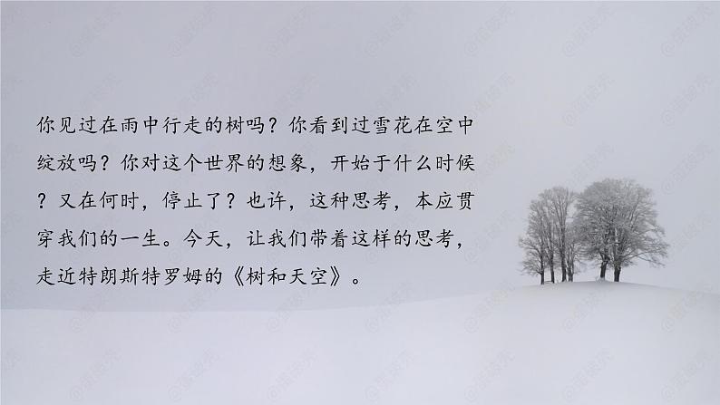 人教统编版高中语文选择性必修中册13.4树和天空精品课件第2页