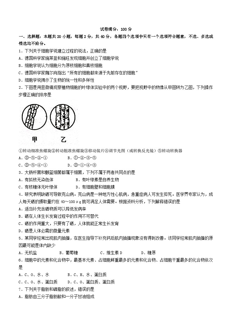 湖北省黄冈市2023_2024学年高一语文上学期期中试题试卷含解析第1页