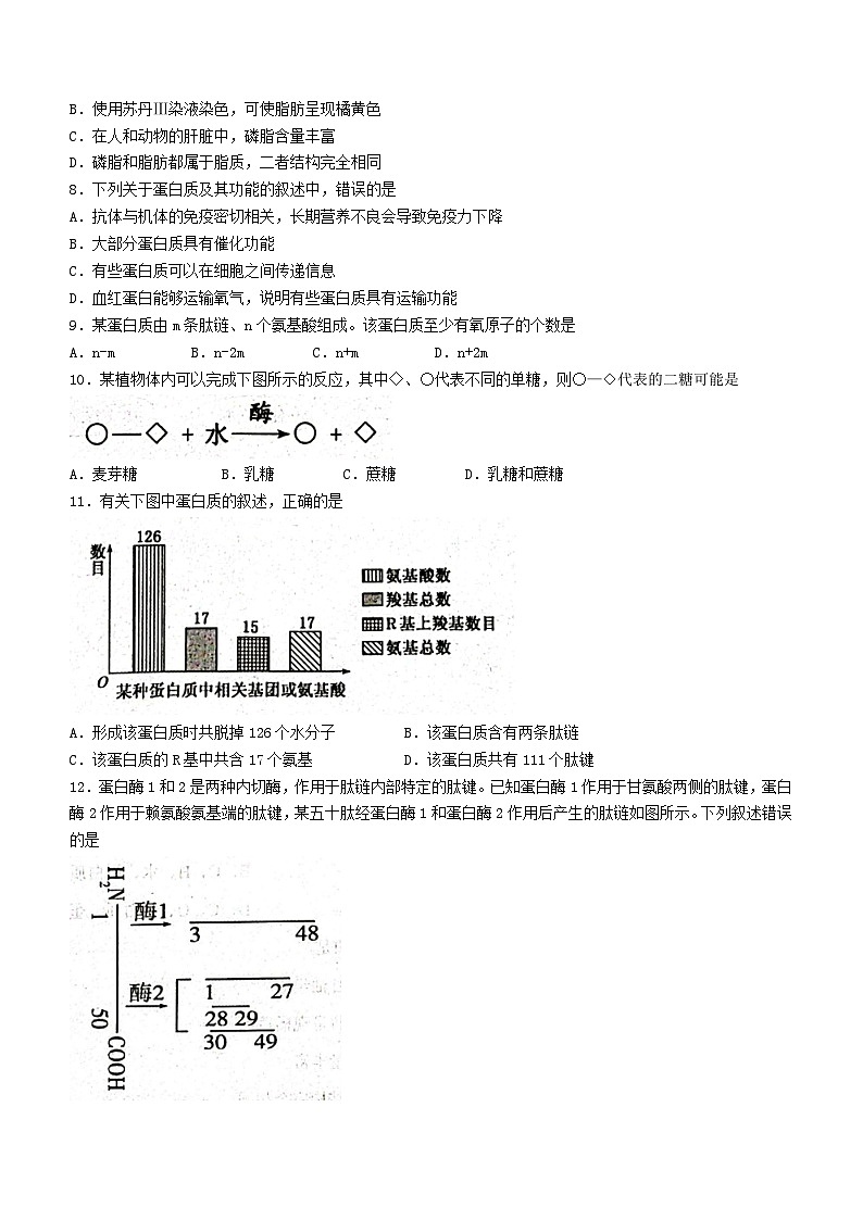 湖北省黄冈市2023_2024学年高一语文上学期期中试题试卷含解析第2页