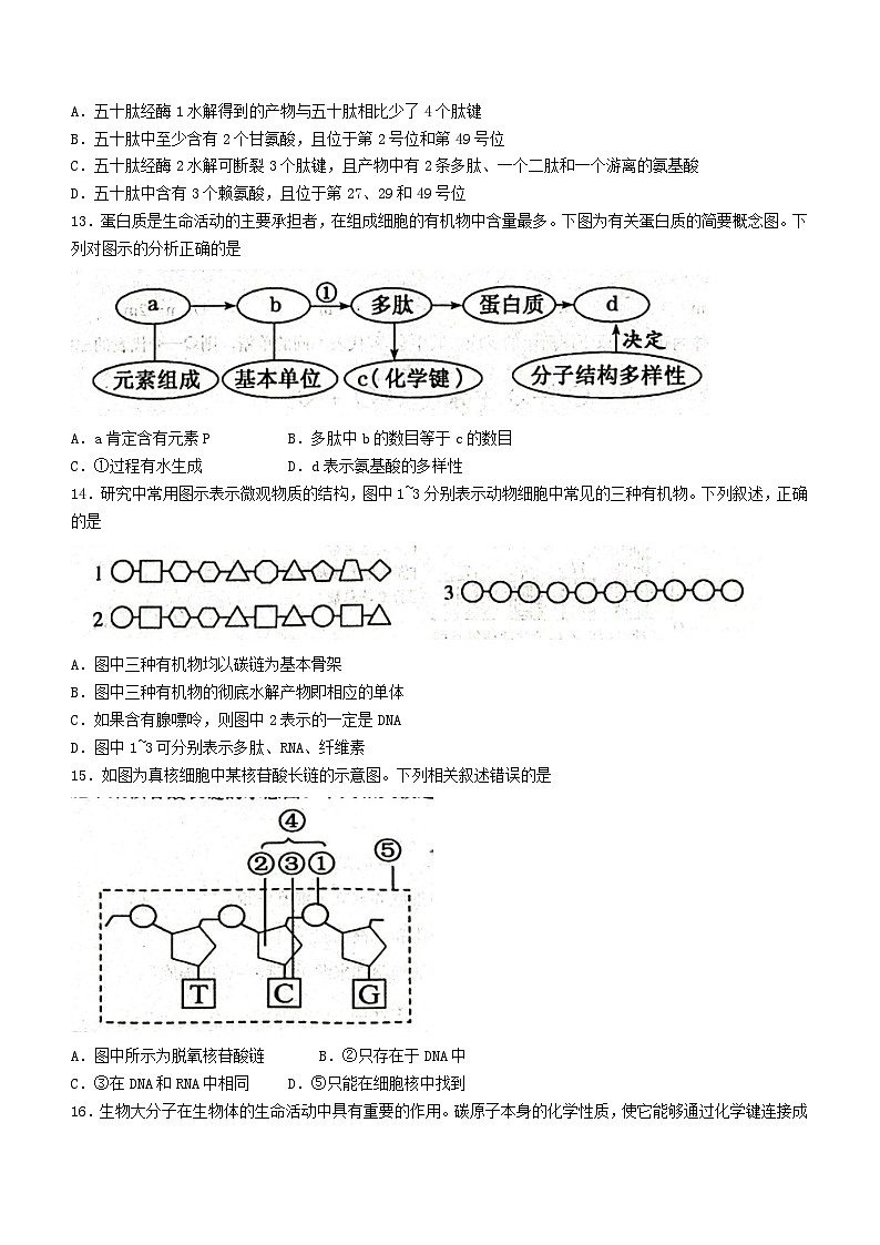 湖北省黄冈市2023_2024学年高一语文上学期期中试题试卷含解析第3页