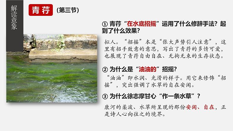 人教统编版高中语文选择性必修下册6.2再别康桥课件第6页