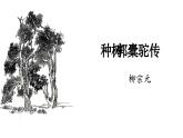 人教统编版高中语文选择性必修下册11种树郭橐驼传课件ppt