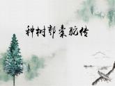 人教统编版高中语文选择性必修下册11种树郭橐驼传精品课件