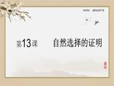 人教统编版高中语文选择性必修下册13.1自然选择的证明课件