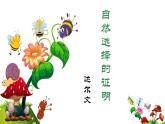 人教统编版高中语文选择性必修下册13.1自然选择的证明ppt课件
