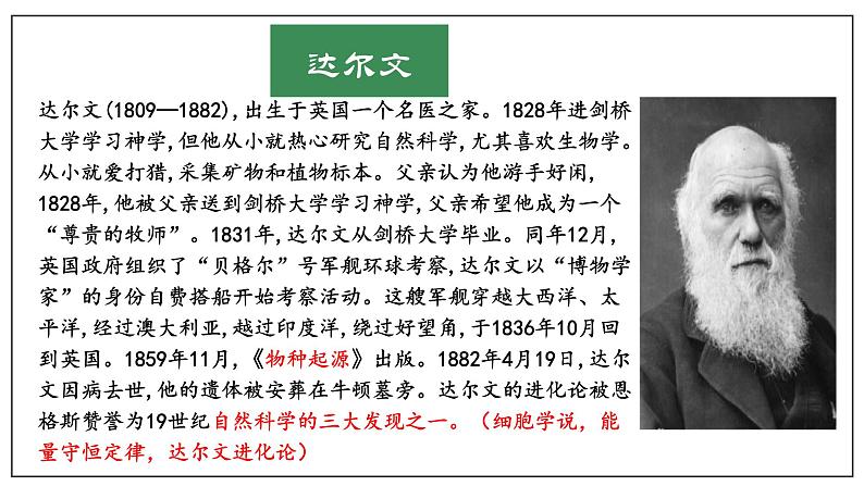 人教统编版高中语文选择性必修下册13.1自然选择的证明ppt课件第3页