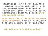 高中语文人教统编版选择性必修上册 五石之瓠  课件