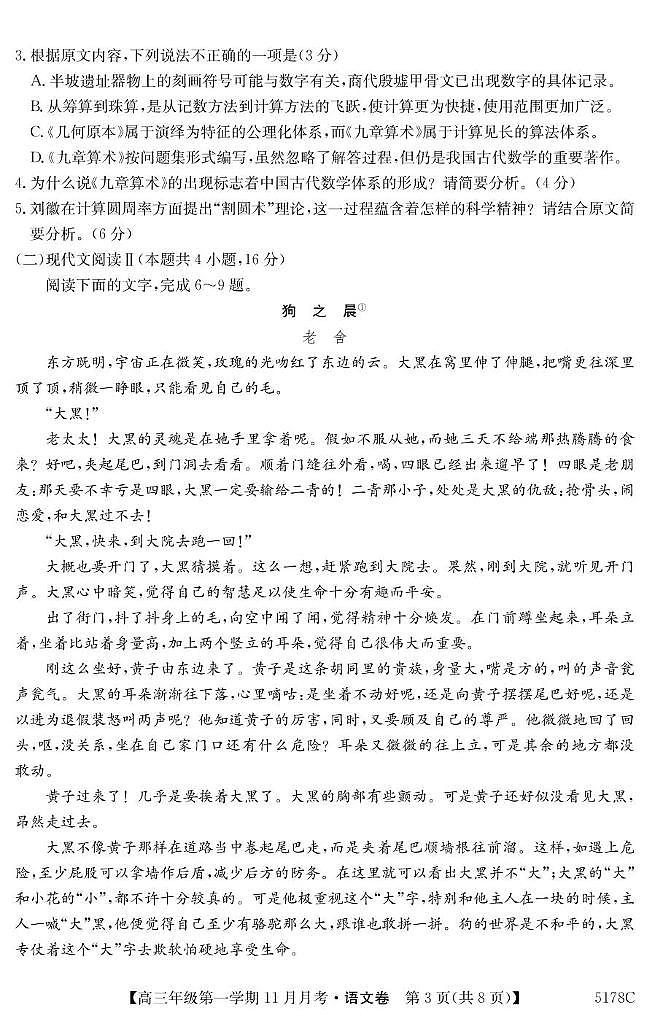 广东省深圳市龙华科技实验高级中学2024-2025学年高三上学期11月月考语文试题第3页