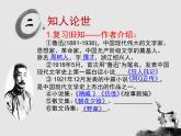《记念刘和珍君》优质课件1