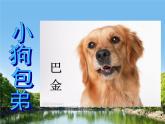 《小狗包弟》公开课课件