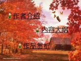 《大卫 科波菲尔》名著导读课件