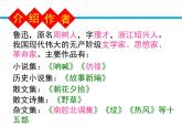 人教版 (新课标)高中语文 必修三《祝福》精品课件
