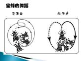 人教版 (新课标)高中语文 必修三《动物游戏之谜》名师课件
