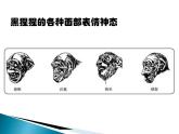 人教版 (新课标)高中语文 必修三《动物游戏之谜》名师课件