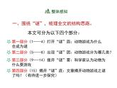 人教版 (新课标)高中语文 必修三《动物游戏之谜》名师课件
