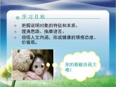 人教版 (新课标)高中语文 必修三《动物游戏之谜》精品课件