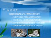人教版 (新课标)高中语文 必修三《动物游戏之谜》精品课件
