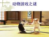 人教版 (新课标)高中语文 必修三《动物游戏之谜》精品课件