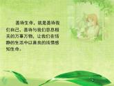 人教版 (新课标)高中语文 必修三《善待生命__学习论证》精品课件
