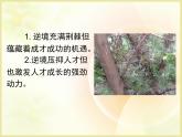 人教版 (新课标)高中语文 必修三《讨论》精品课件