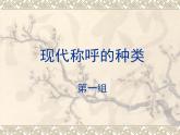 人教版 (新课标)高中语文 必修三《交际中的语言运用》名师课件