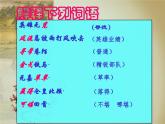 《永遇乐 京口北固亭怀古》名师课件