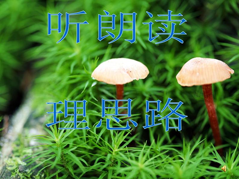 《热爱生命》精品课件第5页