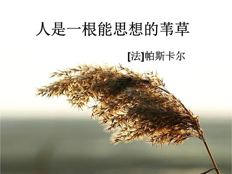 《人是一根能思想的苇草》名师课件第2页