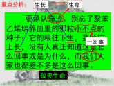 人教版（新课标）高中语文必修四《信条》参考课件